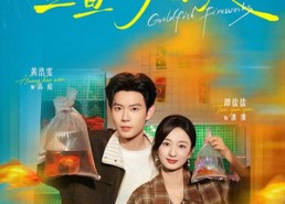 【金鱼的烟火】84集免费短剧全集畅快观看