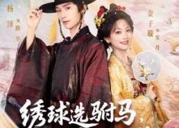 【绣球选驸马，砸中小太监】81集免费短剧在线速看