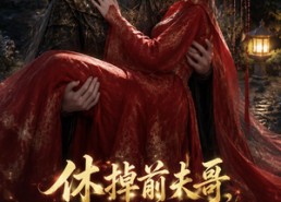 【休掉前夫哥，我成了陛下的唯一解药】31集短剧资源免费在线观览