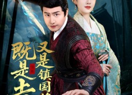 【既是土匪，又是镇国将军】65集免费短剧在线赏阅