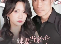 【辣妻当家，我只听老婆的】50集短剧免费在线完整看