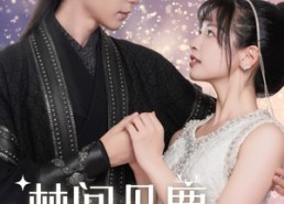 【林间见鹿清风知否】62集高清短剧在线免费看