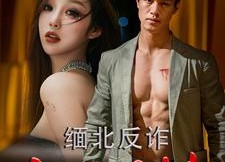 【缅北反诈江湖情】86集免费短剧在线全集赏