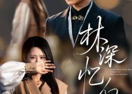 【林深忆白首】60集短剧免费在线览看