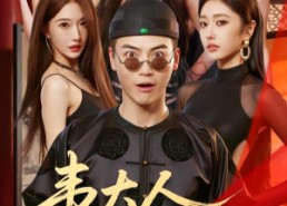 【韦大人奉旨娶亲】81集免费短剧全集赏观