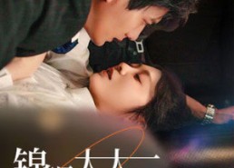 【锦鲤太太不好惹】51集短剧免费在线全集观