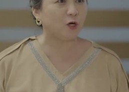 【插翅难飞】30集免费短剧在线速看