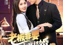 【老板非要和我结婚怎么办第二季】50集短剧免费高清观看