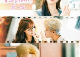 【犬系顶流的驯养法则】16集短剧免费全集速览