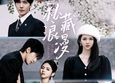 【私藏浪漫】92集高清短剧在线免费畅看