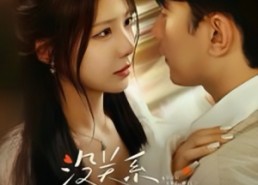 【没关系你尽管野】29集精彩短剧在线赏览