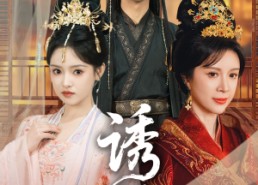 【诱君】64集短剧完整版在线免费观看