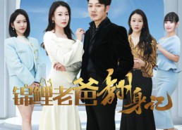 【锦鲤老爸翻身记】30集短剧免费在线完整看