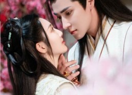 【夫人在上，将军知错了】47集短剧在线免费全集览