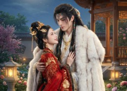 【狼王掌心宠】39集短剧完整版在线播放