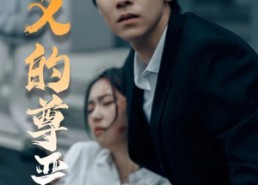 【正义的尊严】35集短剧在线免费全集赏