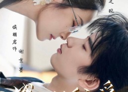 【盛大的偏爱】77集免费短剧全集速看