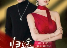 【归途似海深】61集短剧免费在线全览