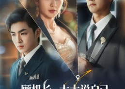 【顾机长，太太说自己已守寡三年】80集短剧在线免费高清观看