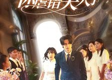 【陆总住手吧，你虐错夫人了】80集短剧全集在线免费赏