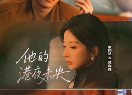 【他的港夜未央】60集短剧免费在线完整观看