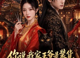 【你说我家王爷是装货，可我也不正常】81集精彩短剧免费在线观览