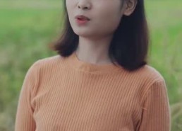 【不辞春色】96集在线免费高清短剧全集看