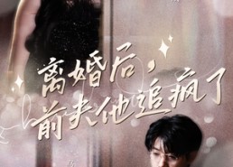 【离婚后，前夫他追疯了$今夜星光璀璨】90集短剧免费全集速览