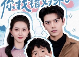 【总裁爹地，你找错妈咪了】69集在线短剧免费全集观看