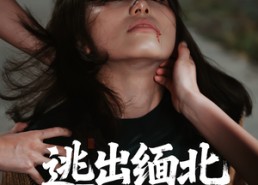 【逃出缅北】62集短剧免费全集网页观看