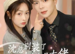 【沈总别装了，你夫人也是大佬】86集短剧免费全集赏播