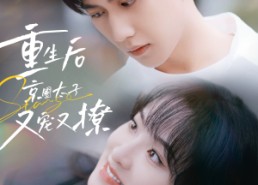 【重生后京圈太子又宠又撩】72集免费短剧完整观