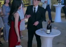 【双生】80集短剧全集免费畅看