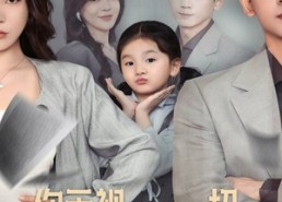 【你无视一切，离婚你后悔什么】70集短剧免费高清在线看