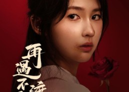 【再遇不渡离德】70集短剧免费观看全集资源