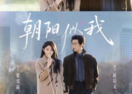 【朝阳似我】81集短剧全集免费在线高清速看