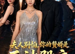 【夫人别怕，你的赘婿是天神殿主】63集精彩短剧免费观
