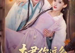 【夫君你这么值钱吗】64集热门短剧免费观影