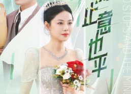 【风止意也平】41集短剧免费在线观览