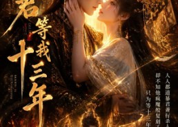 【暴君等我十三年】47集短剧全网免费观看