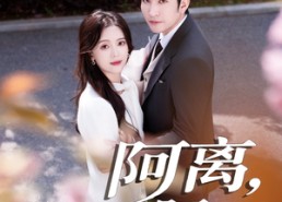 【阿离阿梨】60集高清短剧免费畅看全集