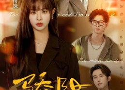 【骄阳】82集高清短剧在线免费畅看