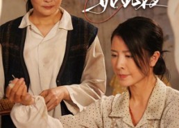 【若得长圆如此夜】50集在线完整版短剧观看