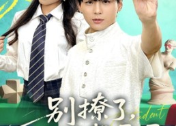 【别撩了我只想画画】81集短剧免费全集速览