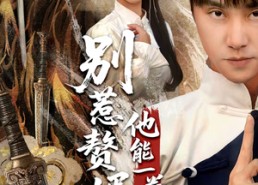 【别惹赘婿，他能一拳开天】67集短剧全集免费观映