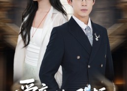 【爱意随风逝】60集在线短剧全集免费观赏