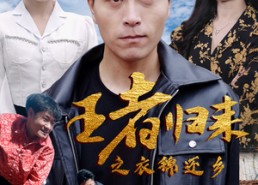 【王者归来之衣锦还乡】87集免费短剧在线畅看