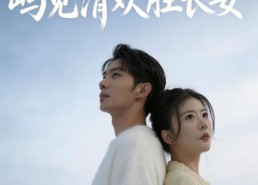 【冬隅手记：屿见清欢胜长安】60集短剧完整版在线播放