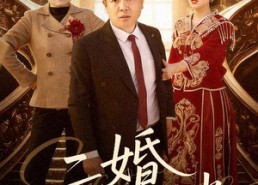 【二婚不可挡】36集热门短剧在线免费览看