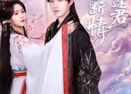 【两世断情又逢君】71集热门短剧在线畅看